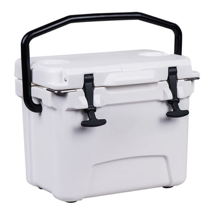 10QT Picnic Mini Portable Food Cooler Box 9.5L Small Size Ice Chest