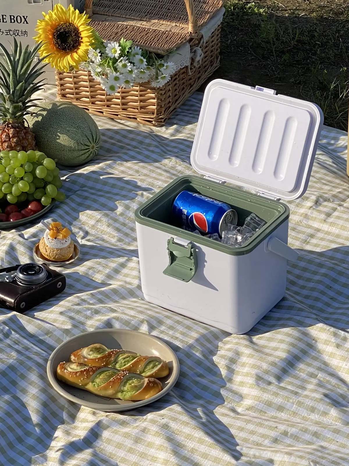 ice coolers for picnic ice coolers for picnic