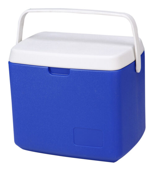 5L/8L/10L/12L/20L/24L Styrofoam Insulated Cooler Box 5.3QT/8.4QT/10.5QT/12.7QT/21.1QT/25.3QT