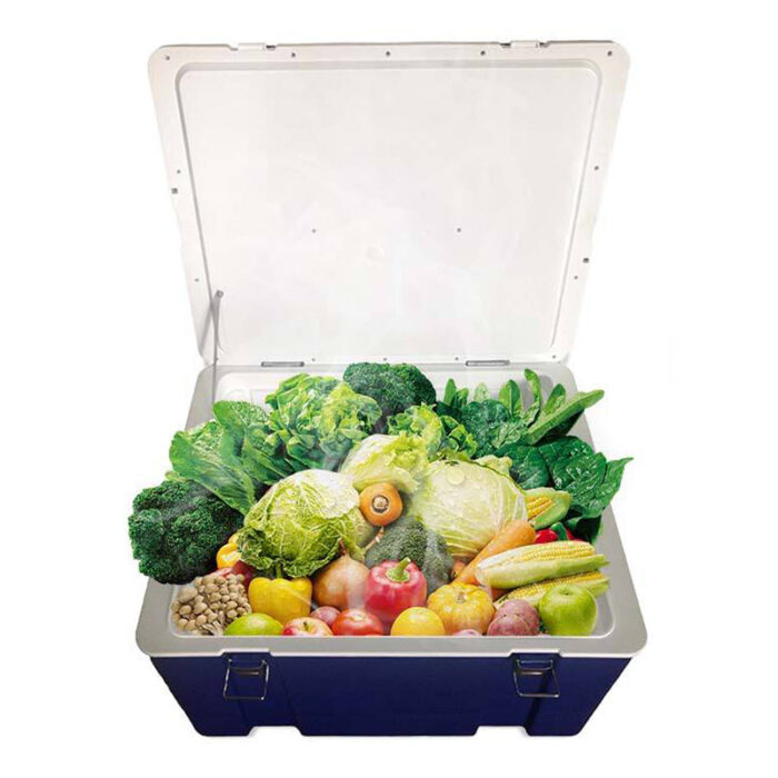 66L Big Insulated Waterproof Cooling Ice Cooler Box 69.7QT for Outdoor Fish Fresh Distribution