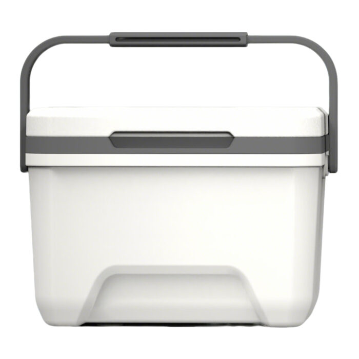 6L Mini Insulated Hard Cooler with Handle Pothook 6.3QT Ice Chest Poolside Camping