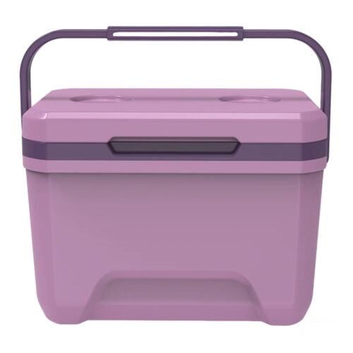 6L Mini Insulated Hard Cooler with Handle Pothook 6.3QT Ice Chest Poolside Camping
