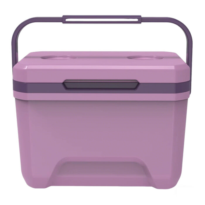 6L Mini Insulated Hard Cooler with Handle Pothook 6.3QT Ice Chest Poolside Camping