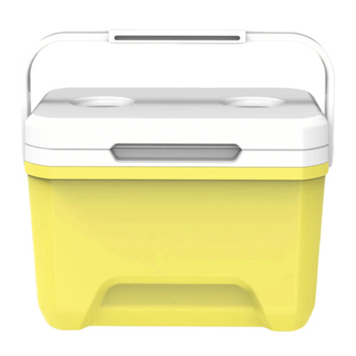 6L Mini Insulated Hard Cooler with Handle Pothook 6.3QT Ice Chest Poolside Camping