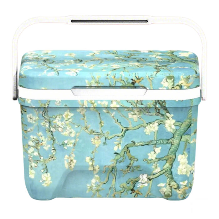 6L Mini Insulated Hard Cooler with Handle Pothook 6.3QT Ice Chest Poolside Camping