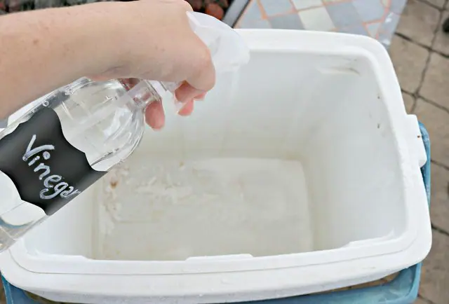 clean-cooler-stains clean cooler with vinegar