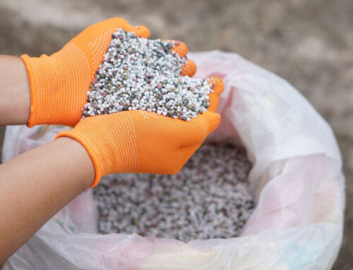 Plasticizer Performance and Evaluation: PVC Application Focus