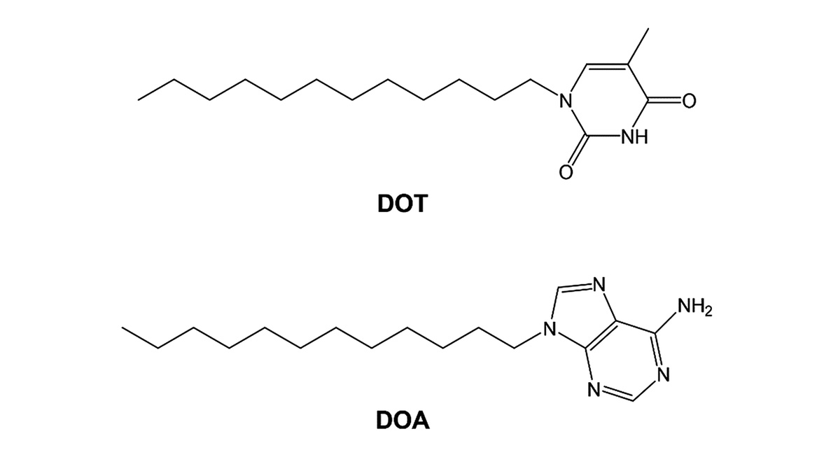 Molecular structure of DOT and DOA