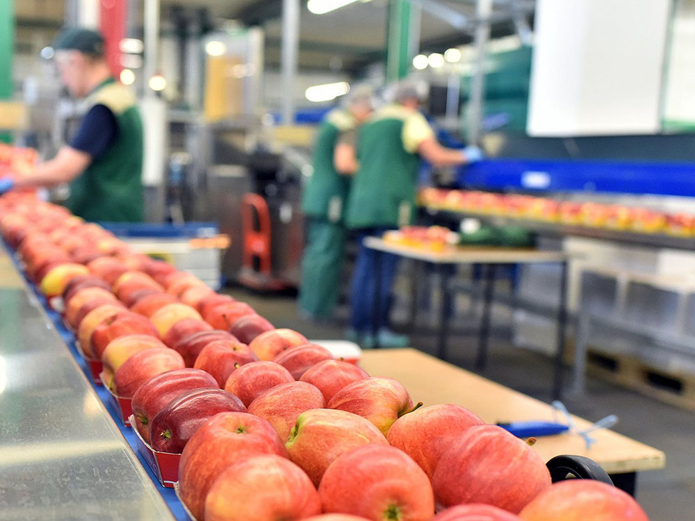 food industry application