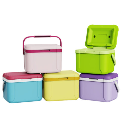 5.3QT Insulated Cooler Box Portable Colorful Handle Design for Outdoor Camping 5L