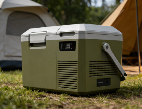 Igloo vs Yeti Coolers: Real-World Review