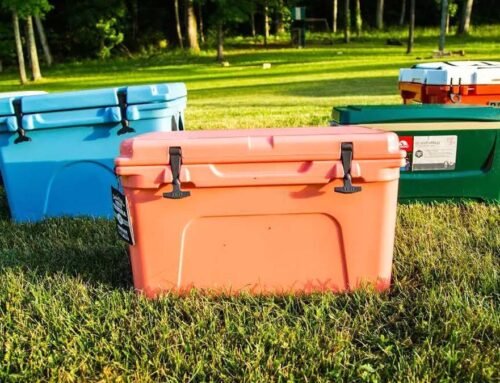 Are Coleman or Igloo Coolers Better?